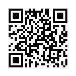 T38520-09-0 QRCode