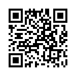 T38522-26-0 QRCode
