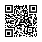 T38525-04-0 QRCode