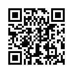 T38528-01-0 QRCode