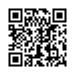 T38528-19-0 QRCode