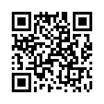 T38528-26-0 QRCode