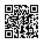 T38530-02-0 QRCode