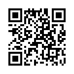 T38530-13-0 QRCode