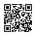 T38532-02-0 QRCode