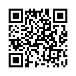 T38532-09-0 QRCode