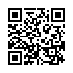 T38532-17-0 QRCode