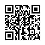 T38532-22-0 QRCode