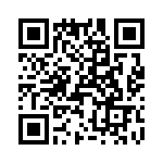 T38537-16-0 QRCode