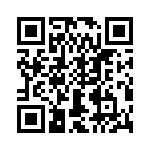 T38538-03-0 QRCode