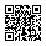 T38538-07-0 QRCode