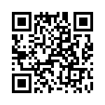 T38540-09-0 QRCode