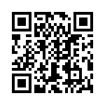 T38540-24-0 QRCode