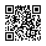 T38542-11-0 QRCode