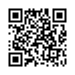 T38543-24-0 QRCode