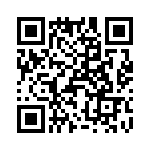 T38547-07-0 QRCode