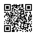 T38560-25-0 QRCode