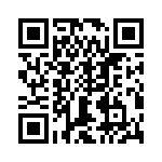 T38563-04-0 QRCode