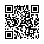 T38563-13-0 QRCode