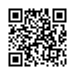 T38563-25-0 QRCode