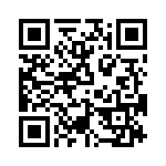 T38565-24-0 QRCode