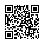 T38567-24-0 QRCode