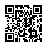 T40704500000G QRCode