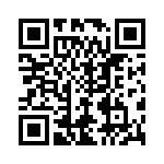 T491B335M020AT QRCode