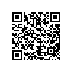 T540D337K2R5BH86057280 QRCode