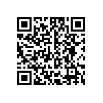 T540D337K2R5BH87057280 QRCode