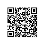 T55B336M004C0200 QRCode