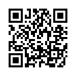 T700063004BY QRCode