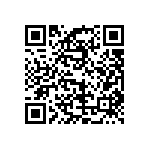 T86E336M025EBSL QRCode