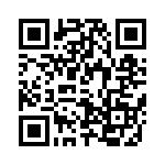 T92P11D22-12 QRCode