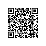 T95S685M004EZSL QRCode