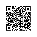 T95Y106M025HZSL QRCode