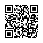 T9G0061003DH QRCode