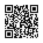 T9G0101203DH QRCode