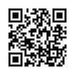 TGL41-33-E3-96 QRCode