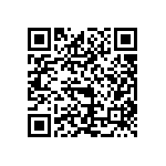 TH58NVG4S0FTA20 QRCode