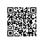 TNPW251224K3BETG QRCode