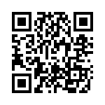 TT13A2T QRCode