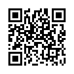 V10H17P QRCode