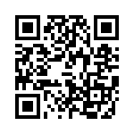 V110A15T300BG QRCode