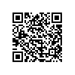 V110A3V3C200BN2 QRCode