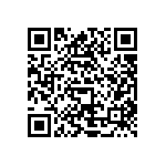 V110A3V3E200BG2 QRCode