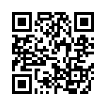 V150B3V3T100BG QRCode