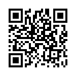 V20E20P QRCode