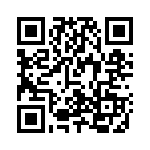 V20P20P QRCode