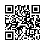 V24B48M250BS QRCode